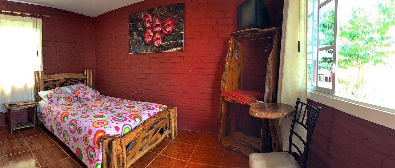 Hosteria Don Elias Puyo Esterno foto